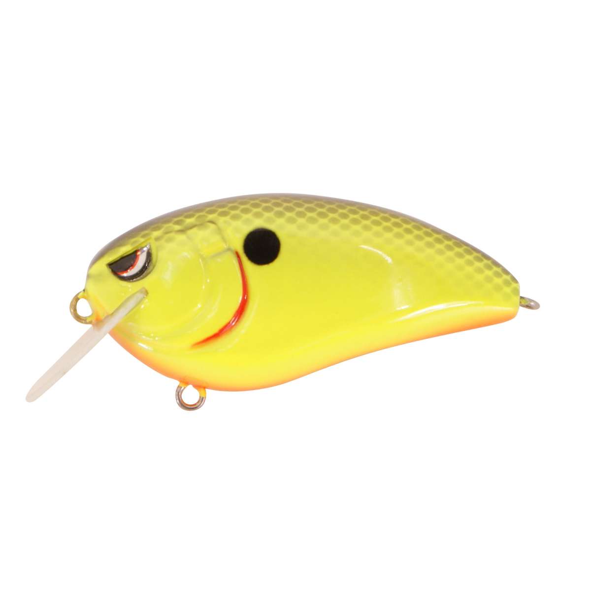 Chartreuse Black Back