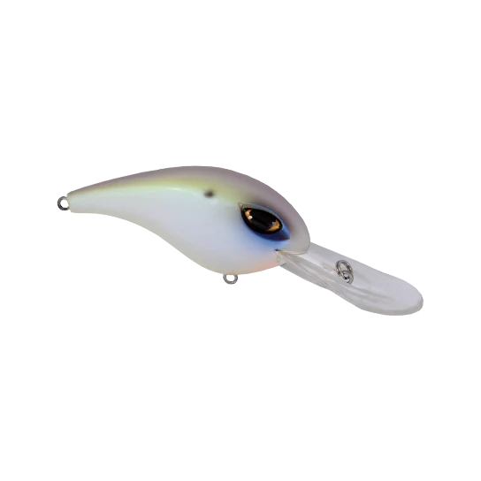 Majestic Shad
