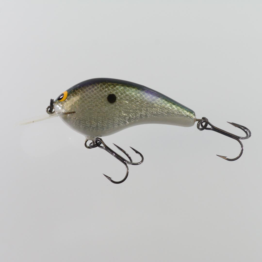 Gizzard Shad Foil
