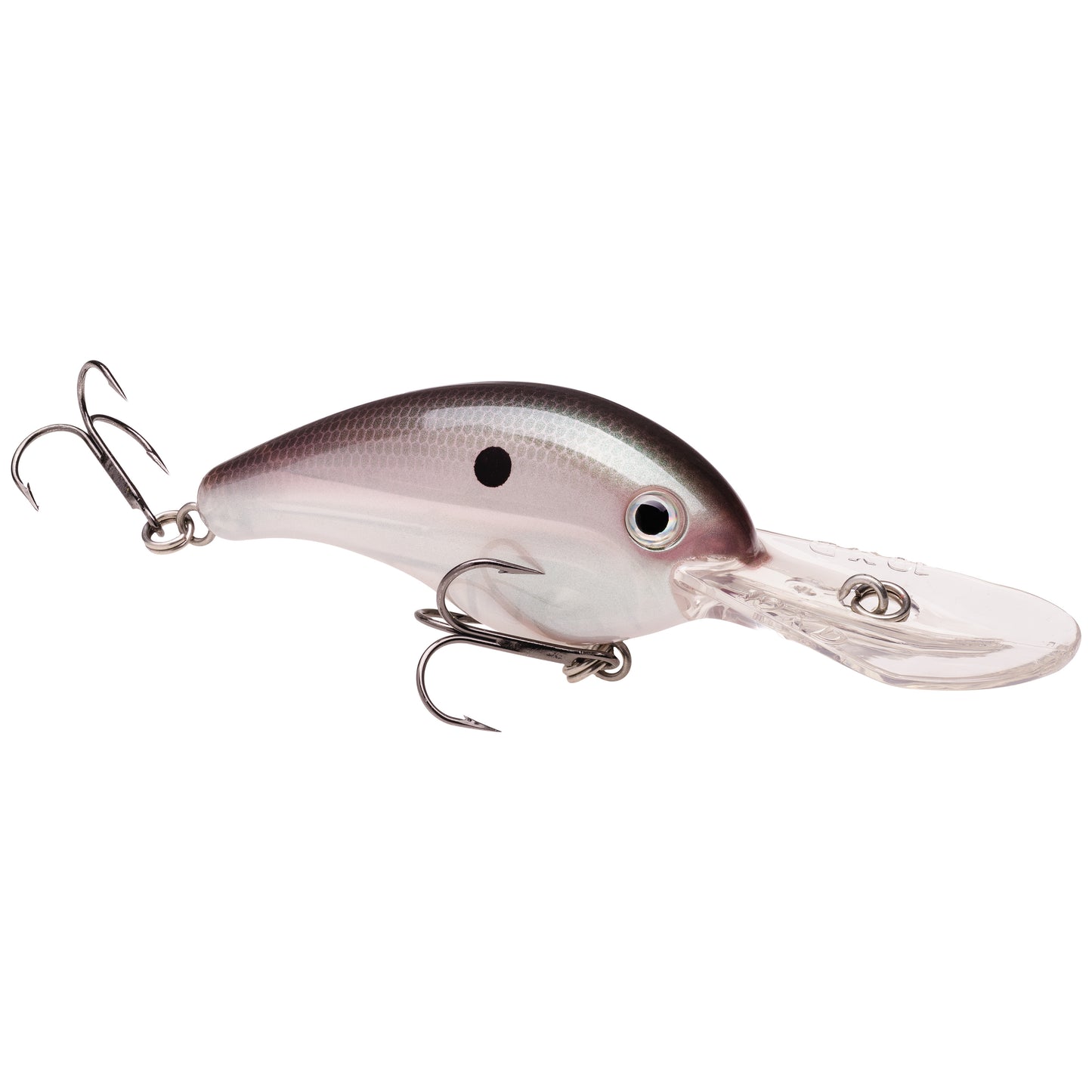 Green Gizzard Shad