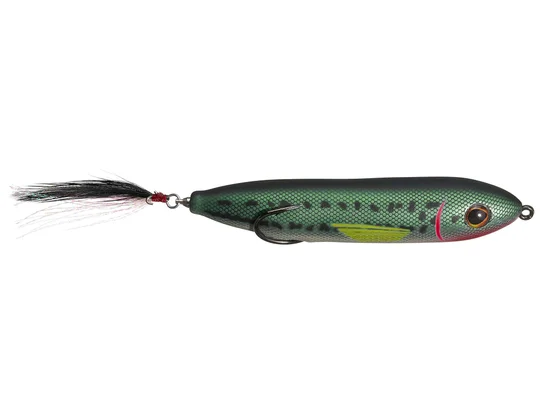 Baby Bass