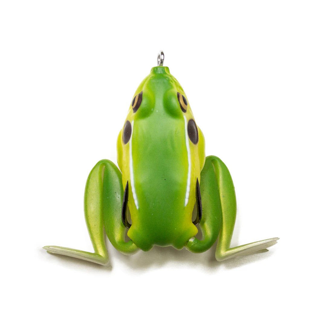 Bull Frog