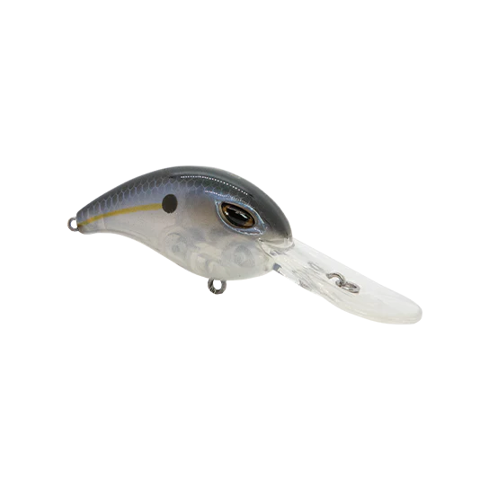 Threadfin Shad
