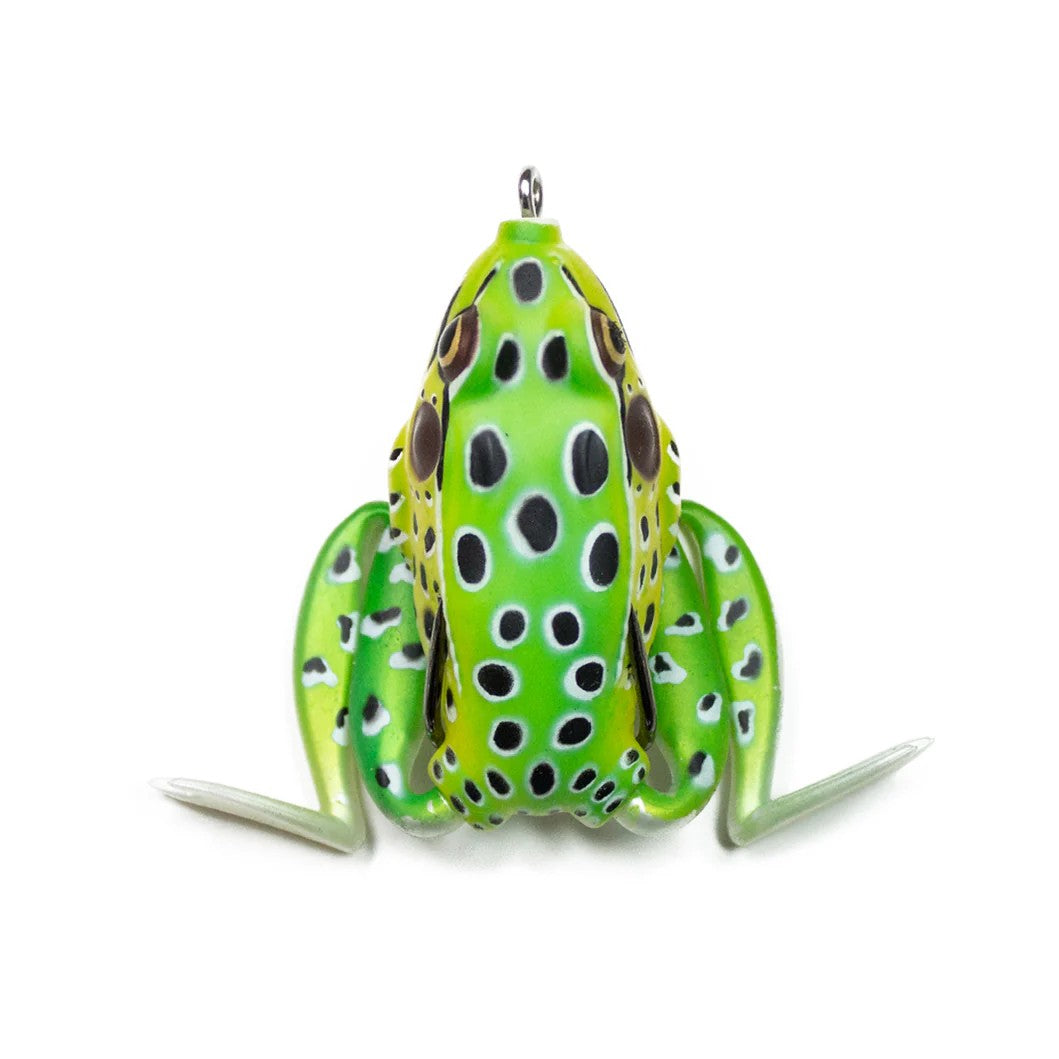 Leopard Frog