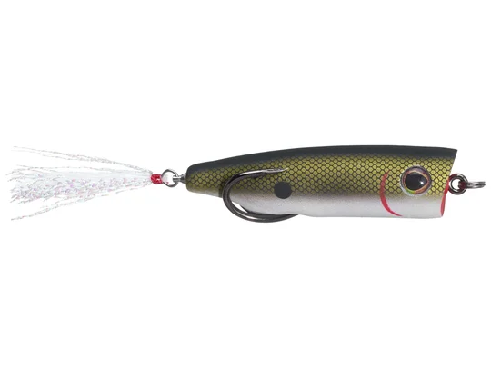 Tennessee Shad