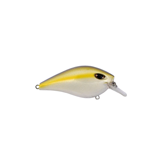 Yellow Shad