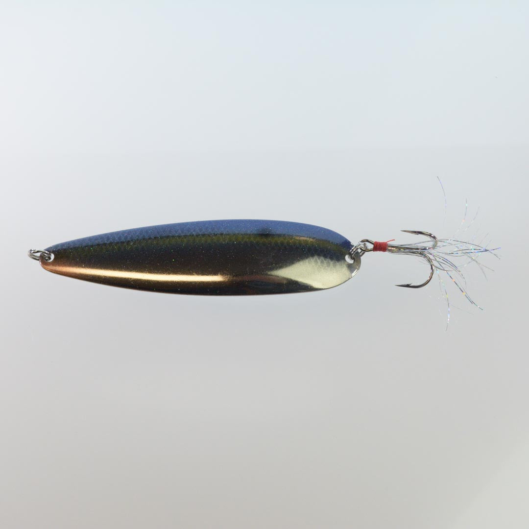 Sexy Shad