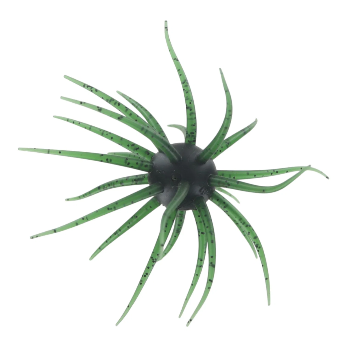 #304-Watermelon Seed (US)