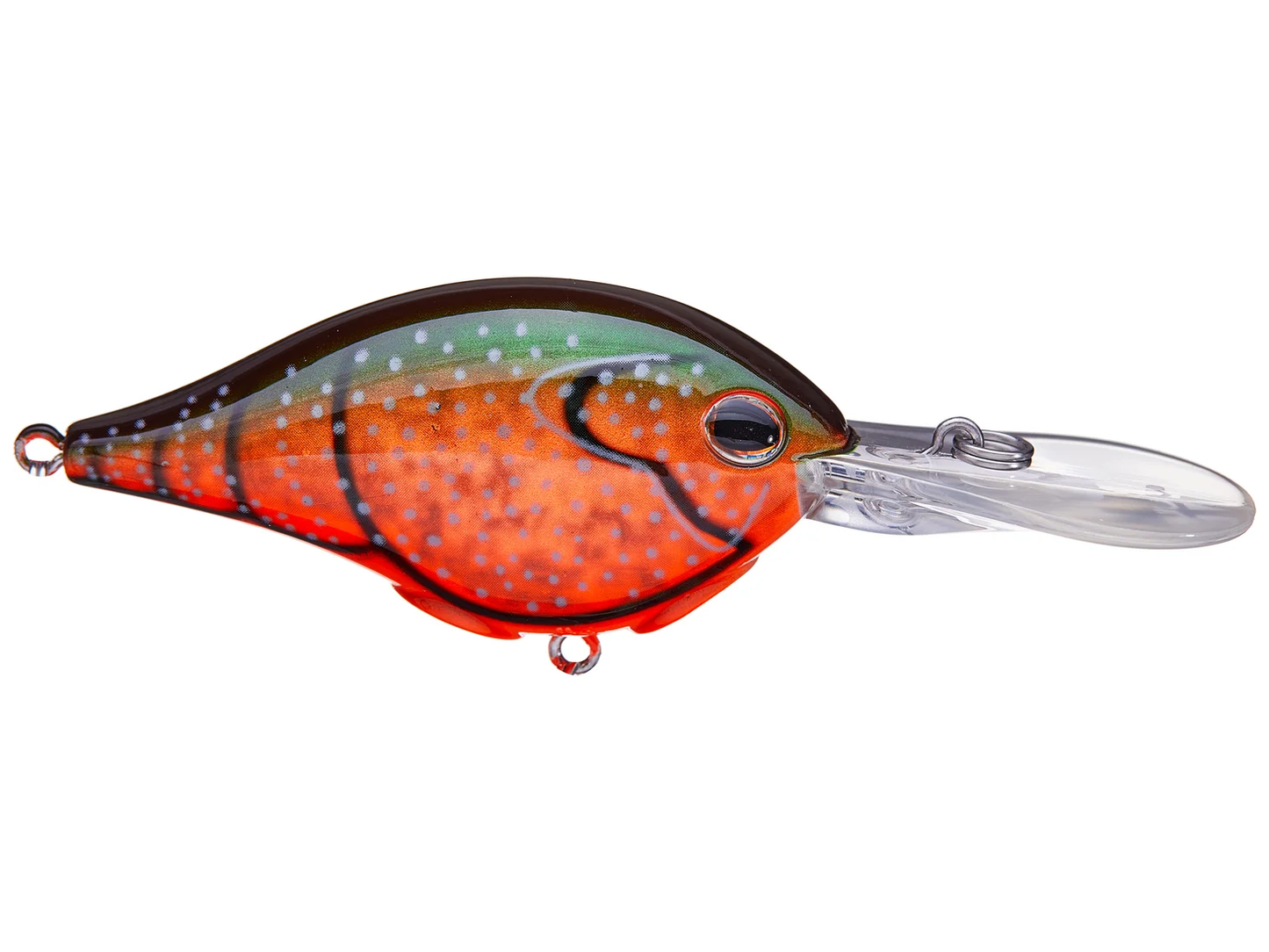 Red Swamp Craw