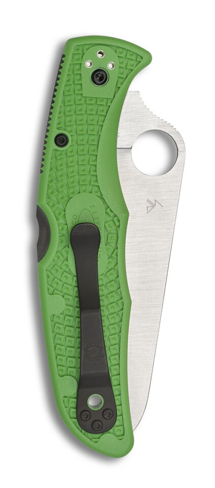 NEW Spyderco Pacific Salt 2 C91FSGR2 Spyderedge Green Frn