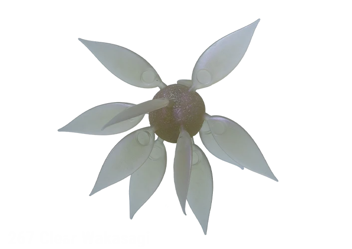#267-Clear Wakasagi