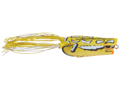 Rainforest Yellow