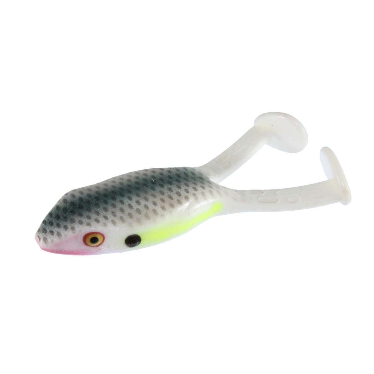 Sexy Shad