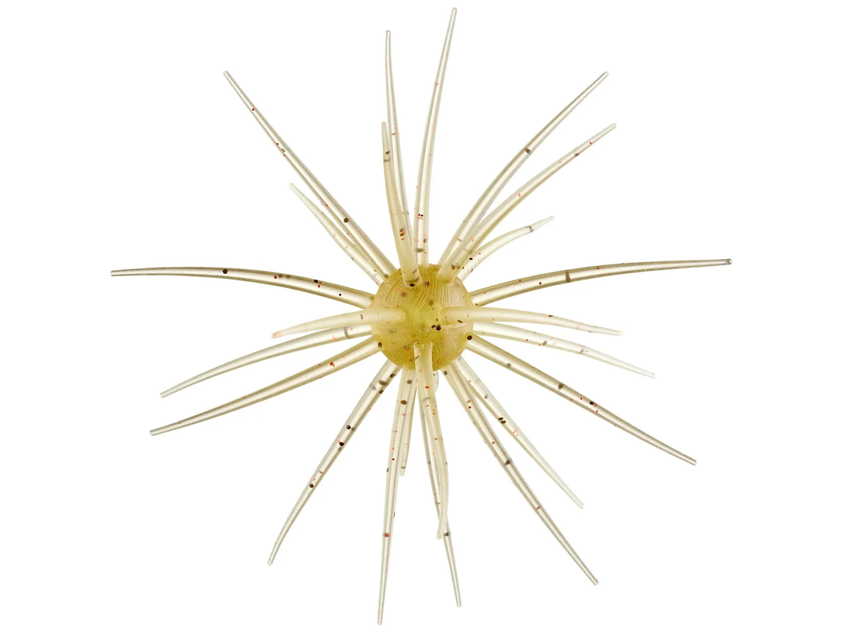#291-Edge Shrimp