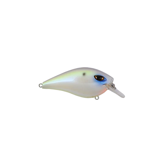 Majestic Shad
