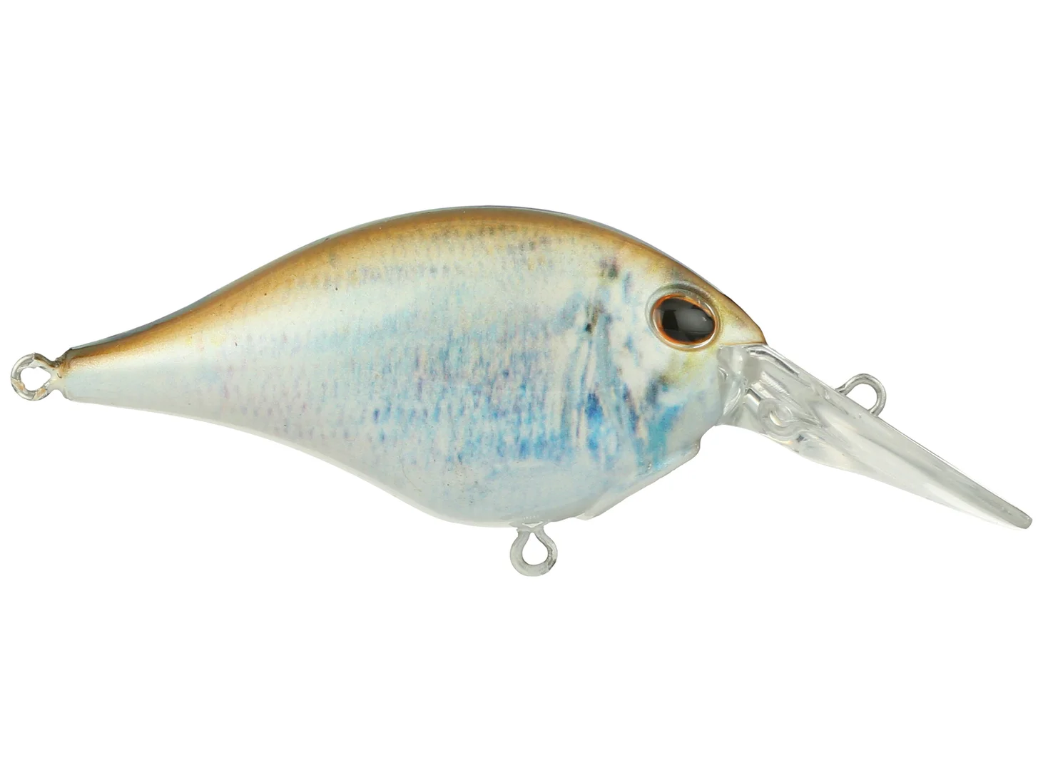 HD Blueback Herring