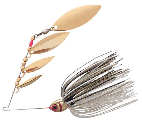 Gold/Golden Shiner