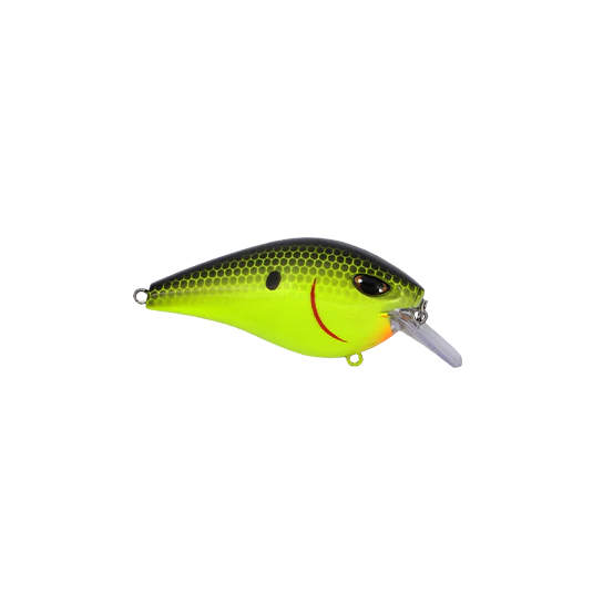 Chartreuse Black Back