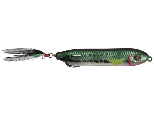 Baby Bass