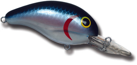 Threadfin Shad