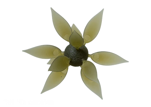 #101-Watermelon