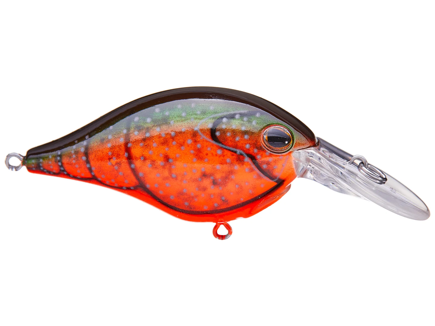 Red Swamp Craw