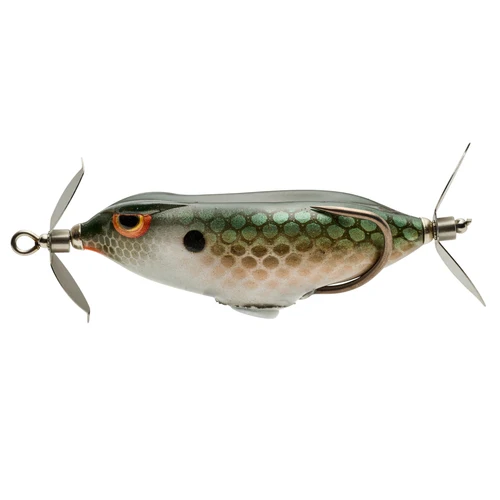 Killer Gill