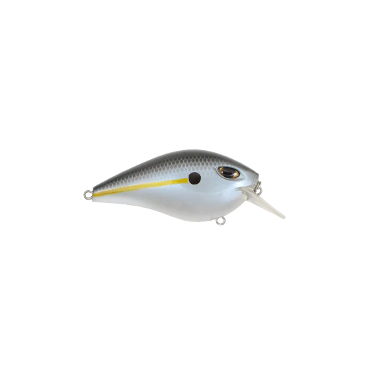 Threadfin Shad