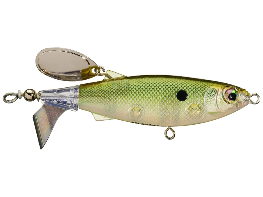 Green Gizzard Shad