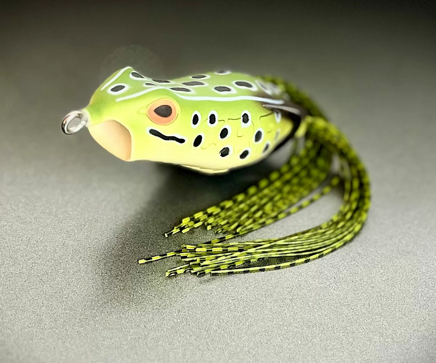 Leopard Frog