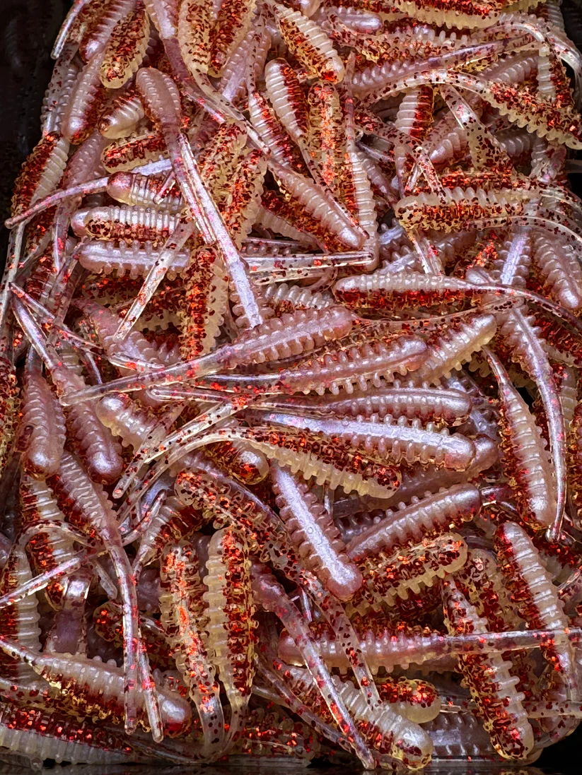 Red Shad