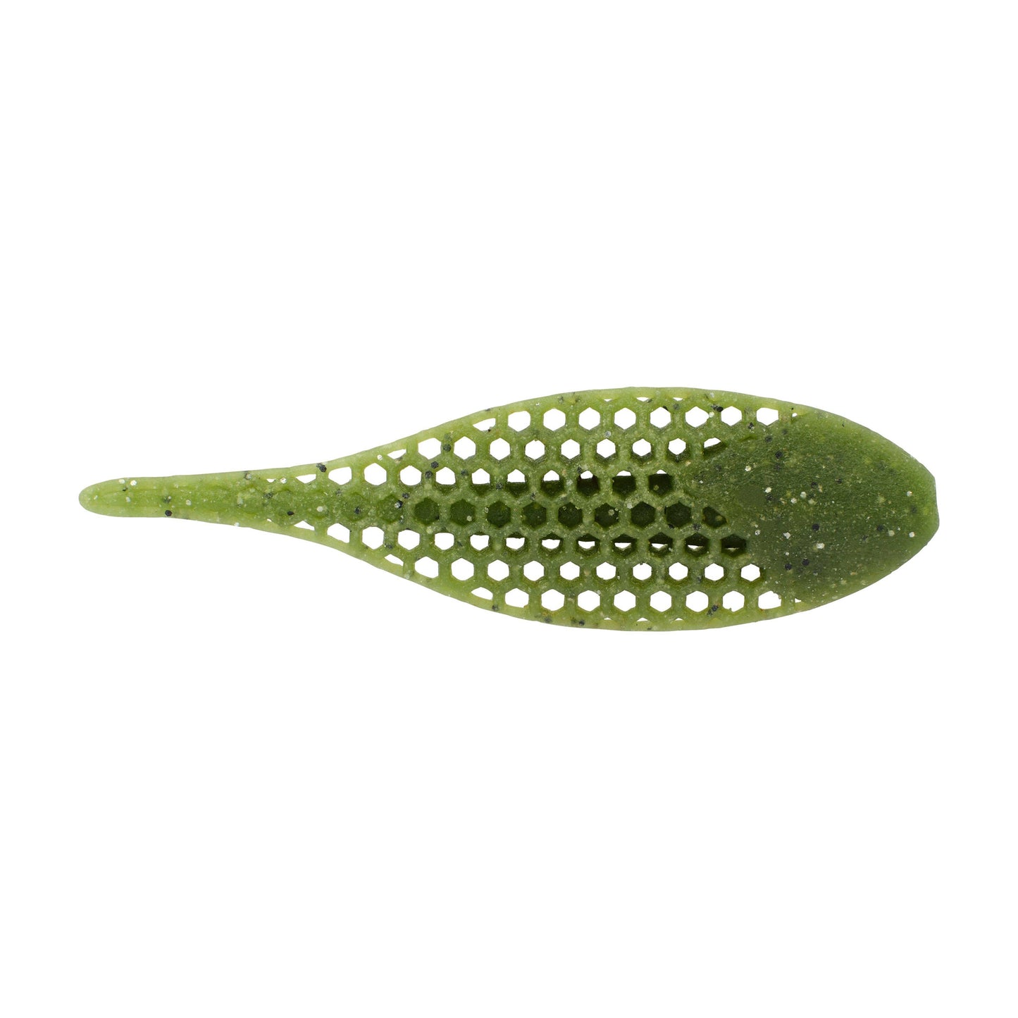 Baby Bass