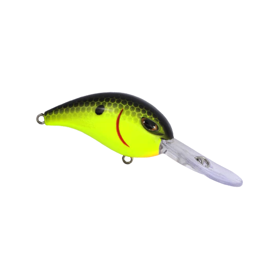 Chartreuse Black Back