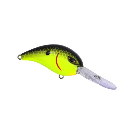 Chartreuse Black Back