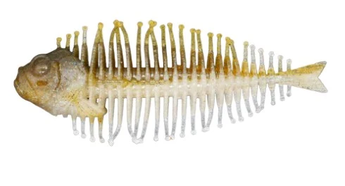 Green Pumpkin Fish