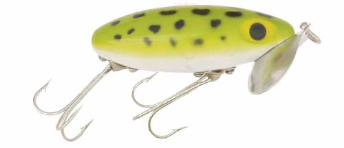 Frog/White Belly