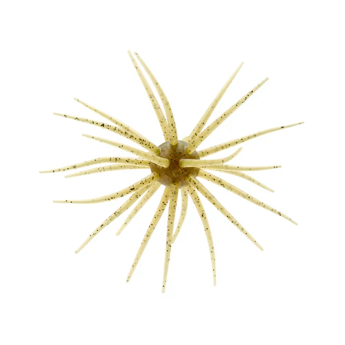 #102-Watermelon Seed