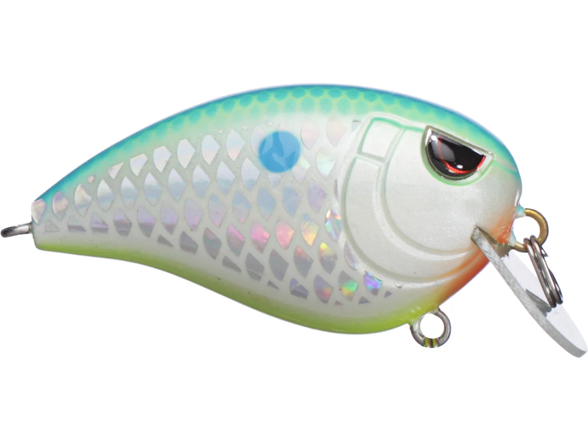 Citrus Shad