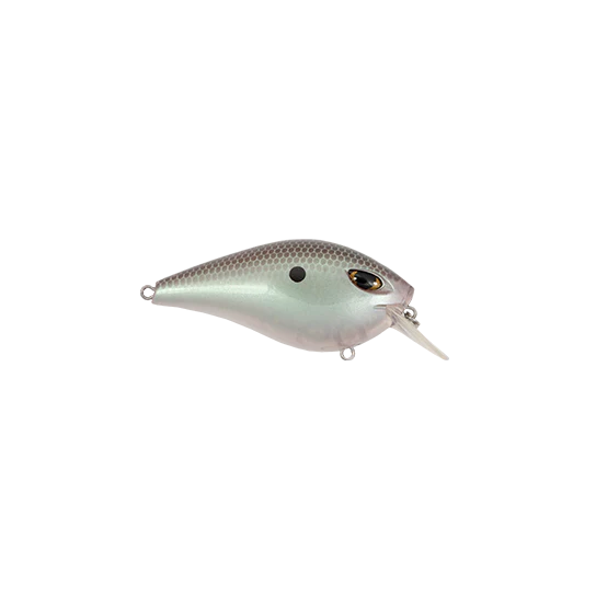 Green Gizzard Shad