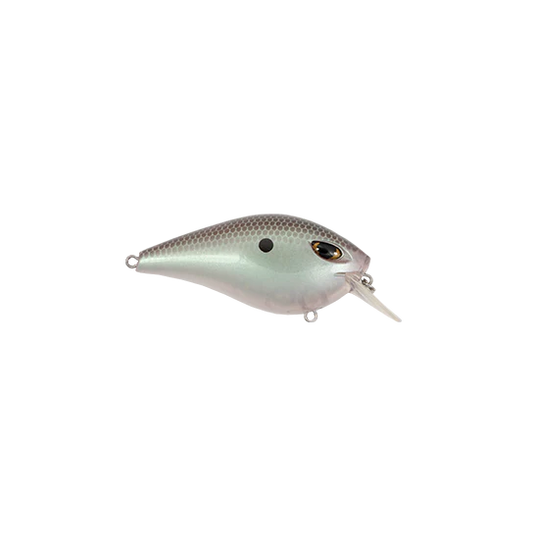 Green Gizzard Shad
