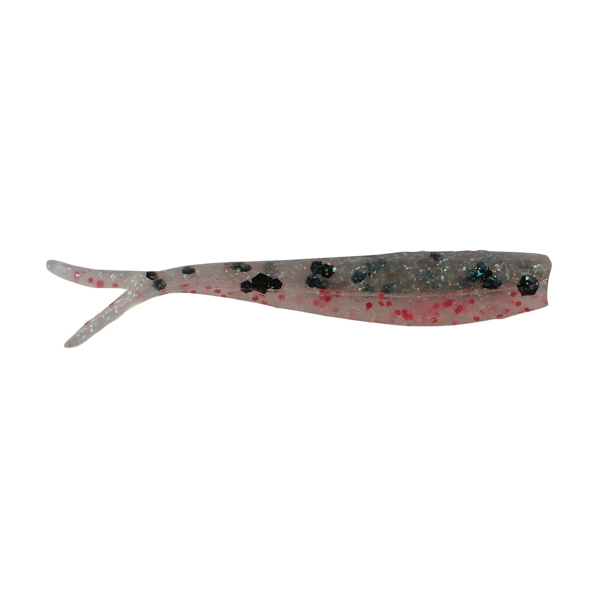 Rainbow Trout