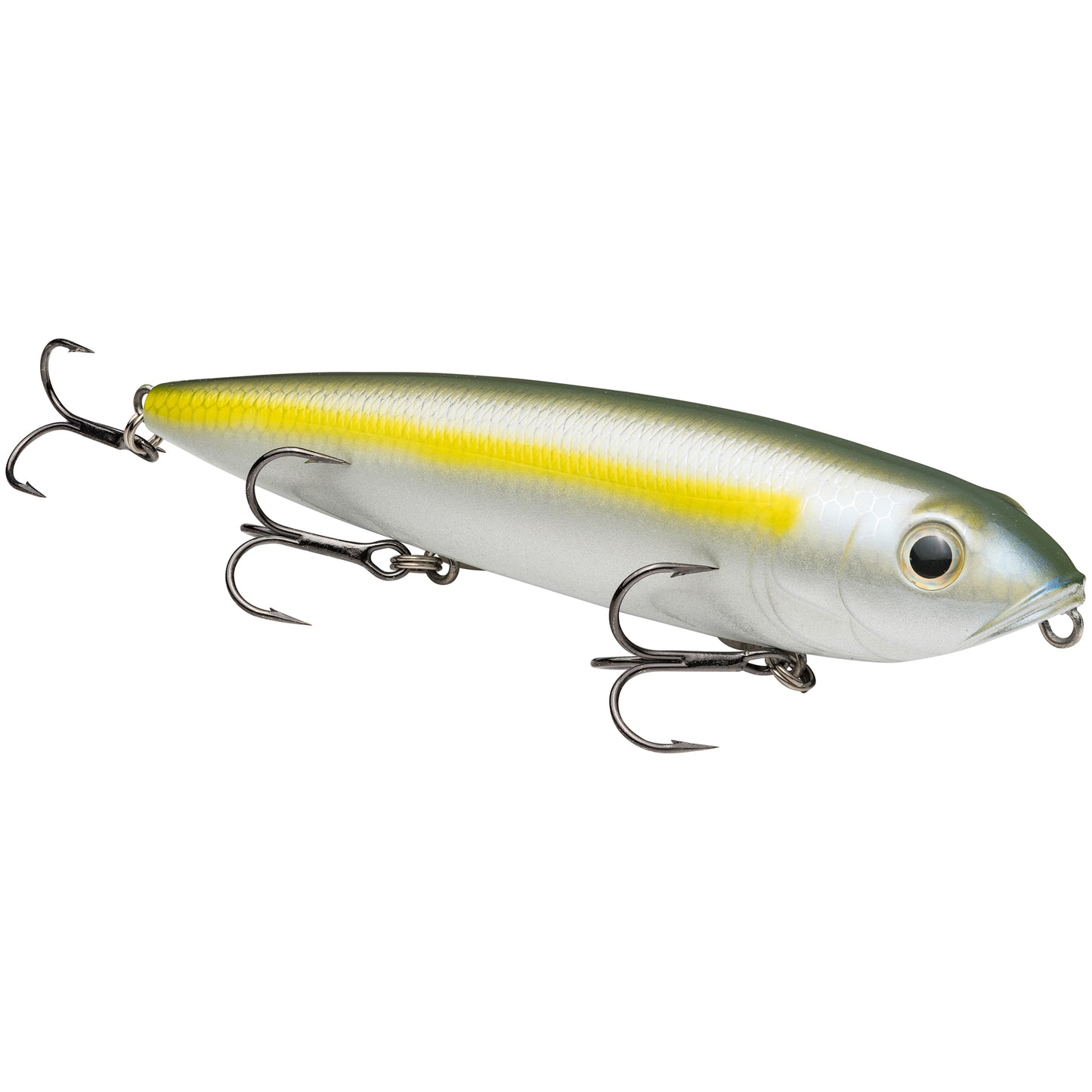 Sexy Blue Back Herring