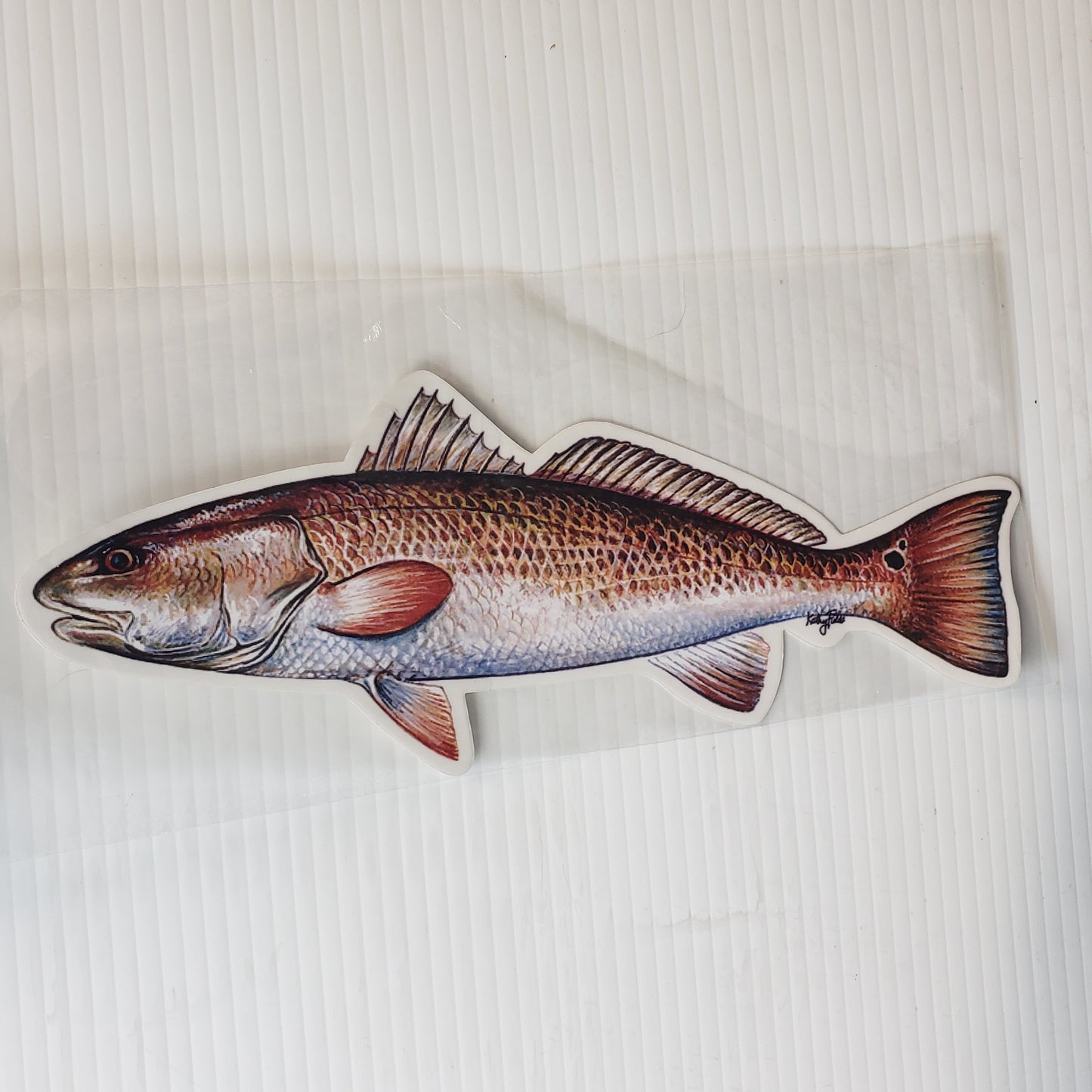 New FishCals Decal Red Drum Decal 10 1/2"