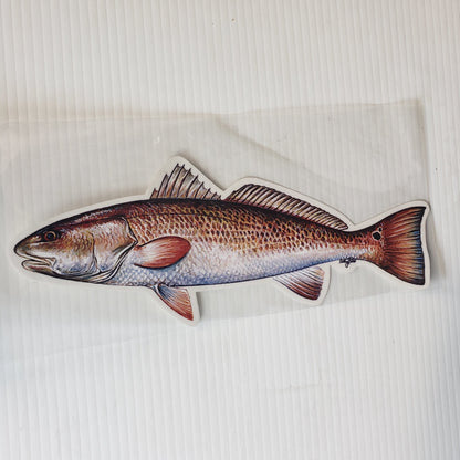 New FishCals Decal Red Drum Decal 10 1/2"