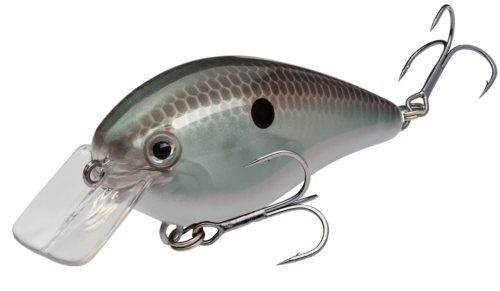Green Gizzard