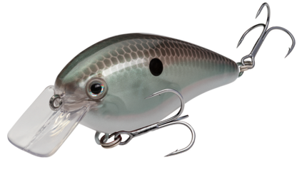 Green Gizzard