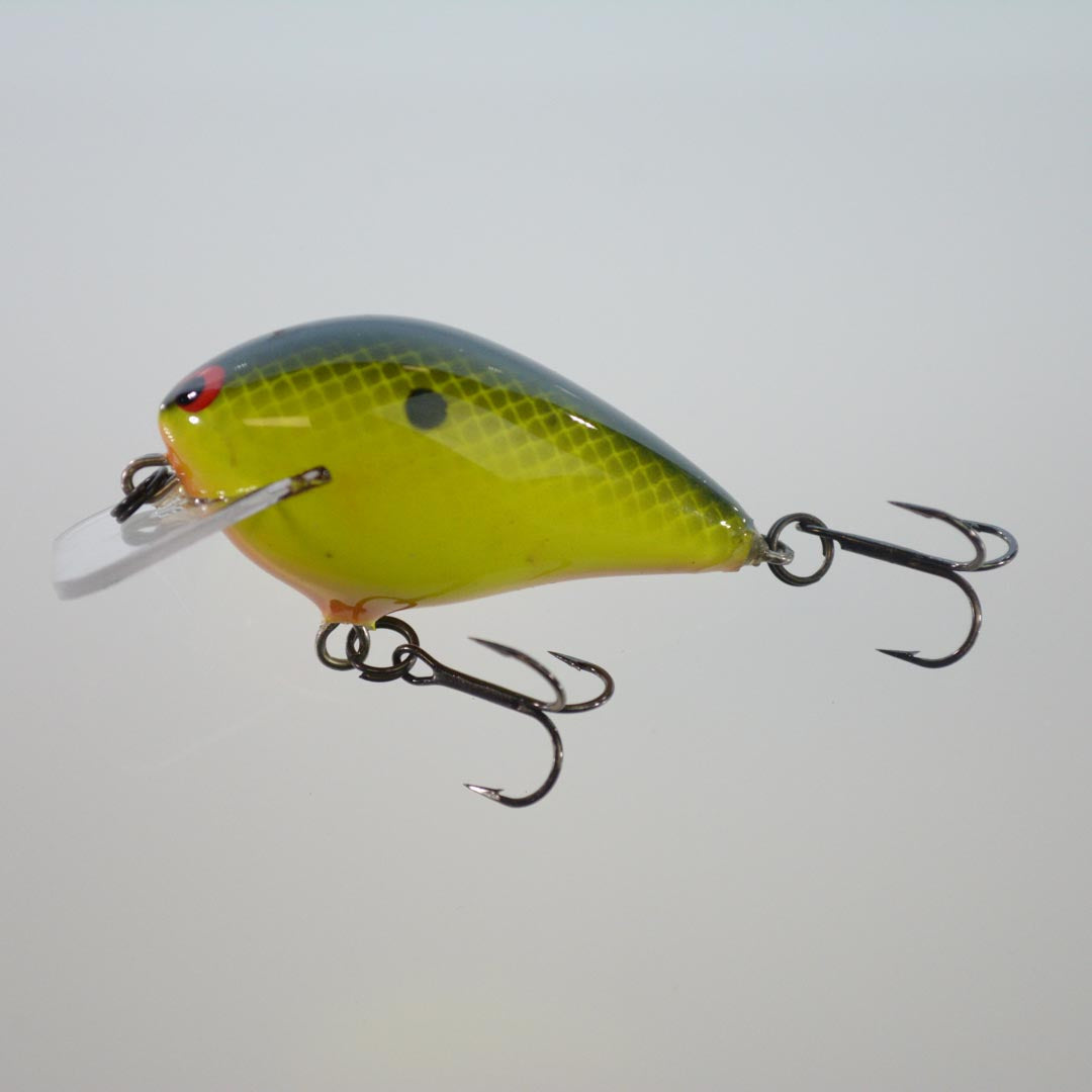 Chartreuse Black Back