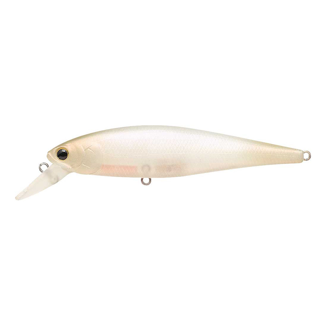 NC Shell White