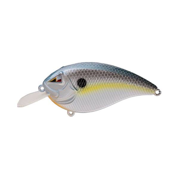 New Sexy Shad