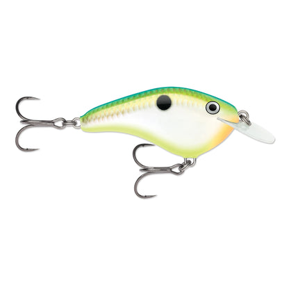 Citrus Shad